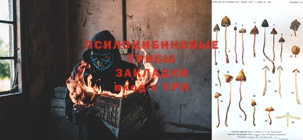 героин Богородицк